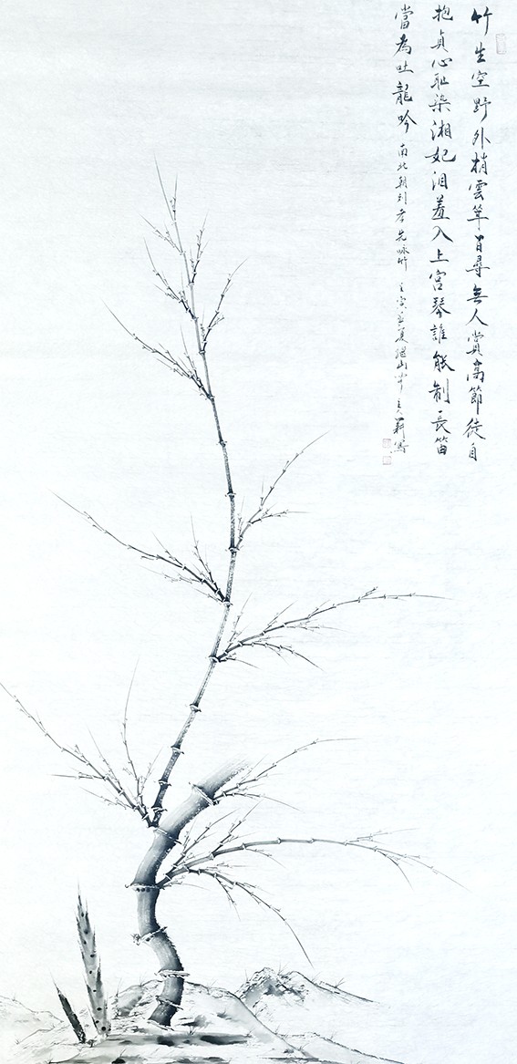 1653387689939520.jpg